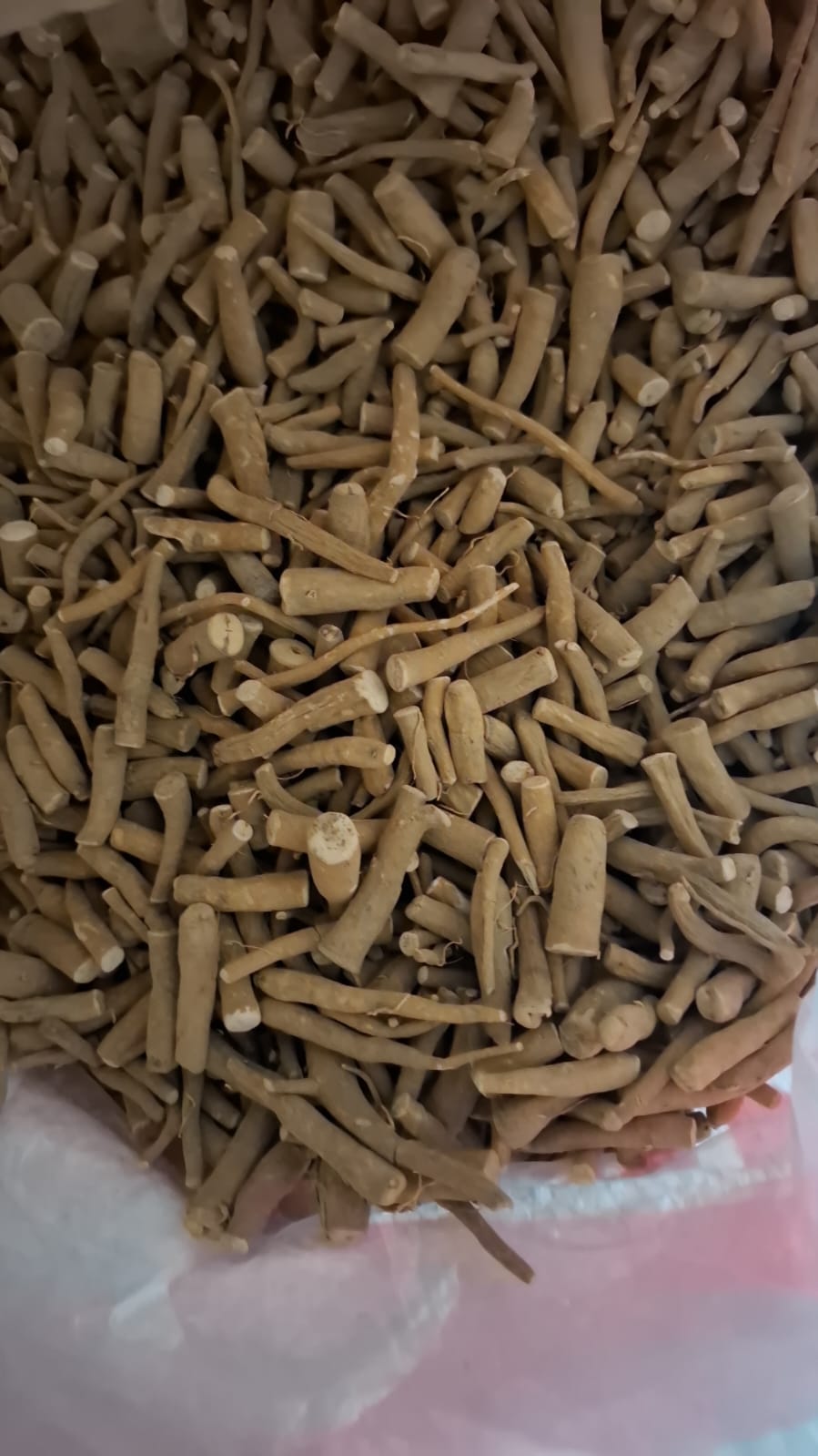 অশ্বগন্ধা Ashwagandha - Image 4